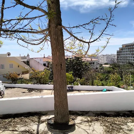 2 Quinta Lamy - Casas & Papeis Apartment *